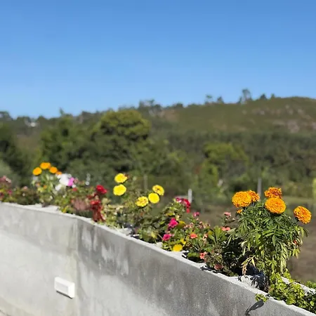 Гостевой дом De